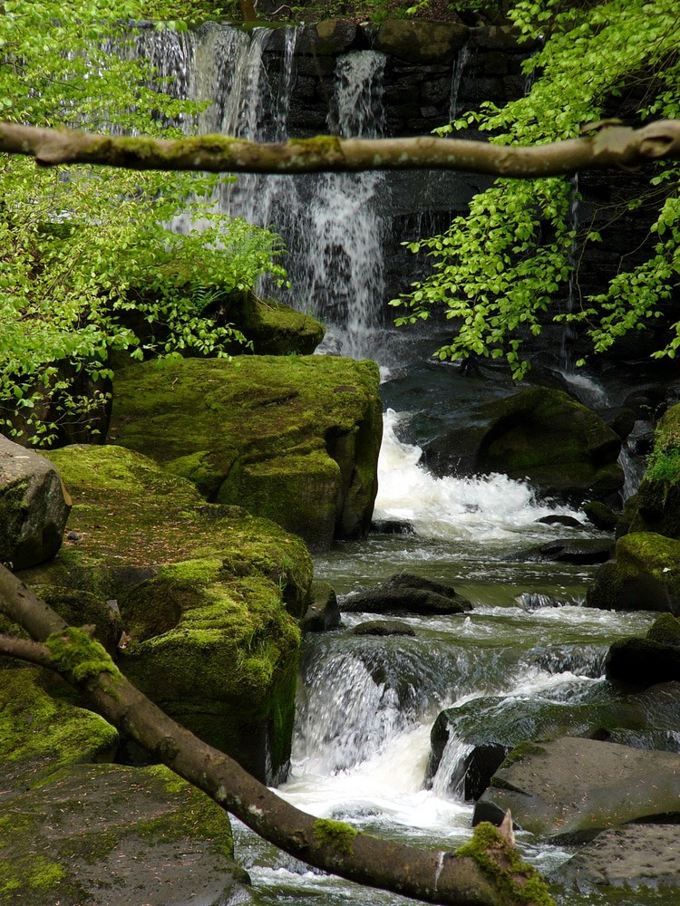 Healey Dell Nature Reserve