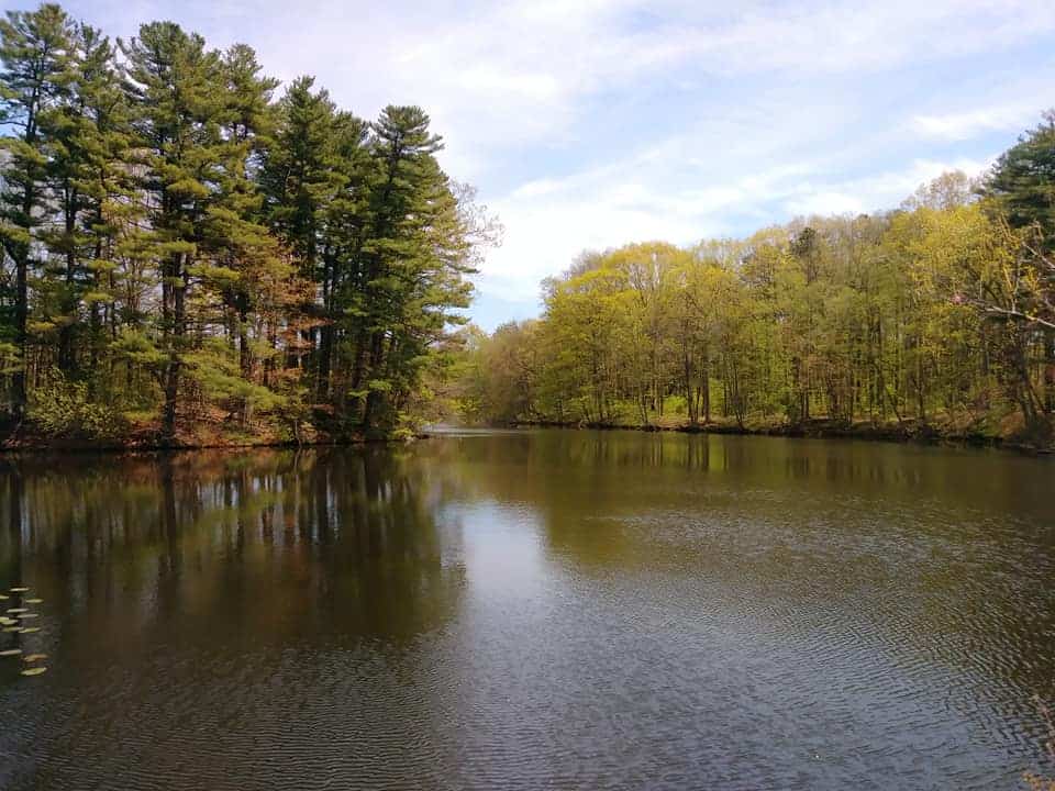 Branford Supply Pond Park