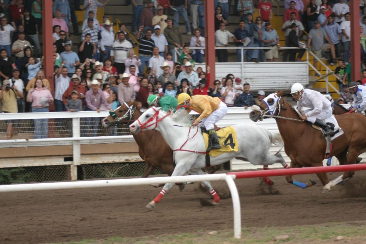 Cochise County Fairgrounds