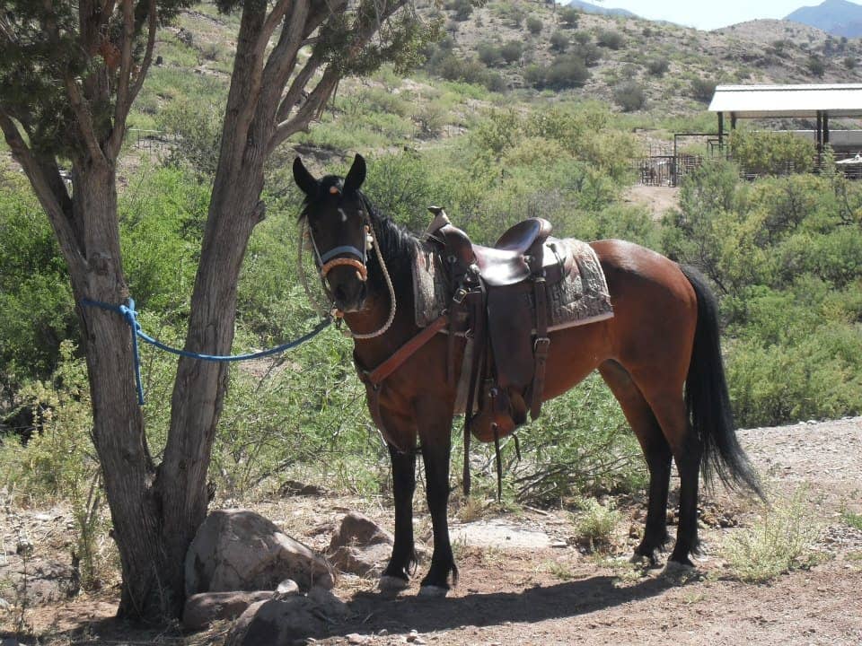 Cold Creek Ranch