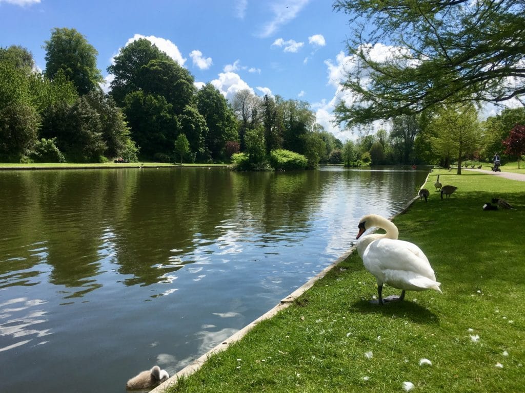 Lake Pleasure Grounds