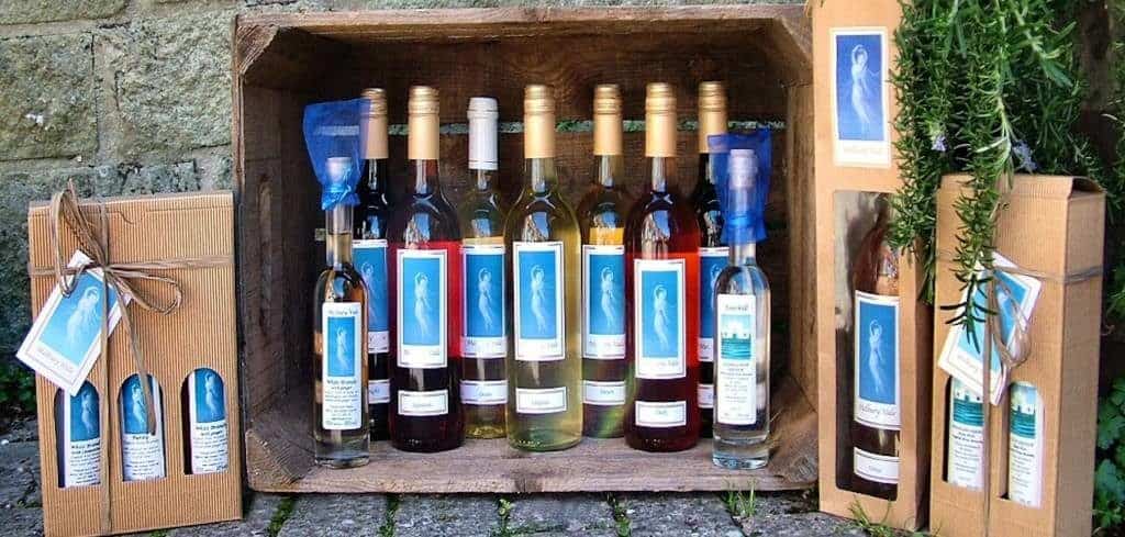 Melbury Vale Vineyard