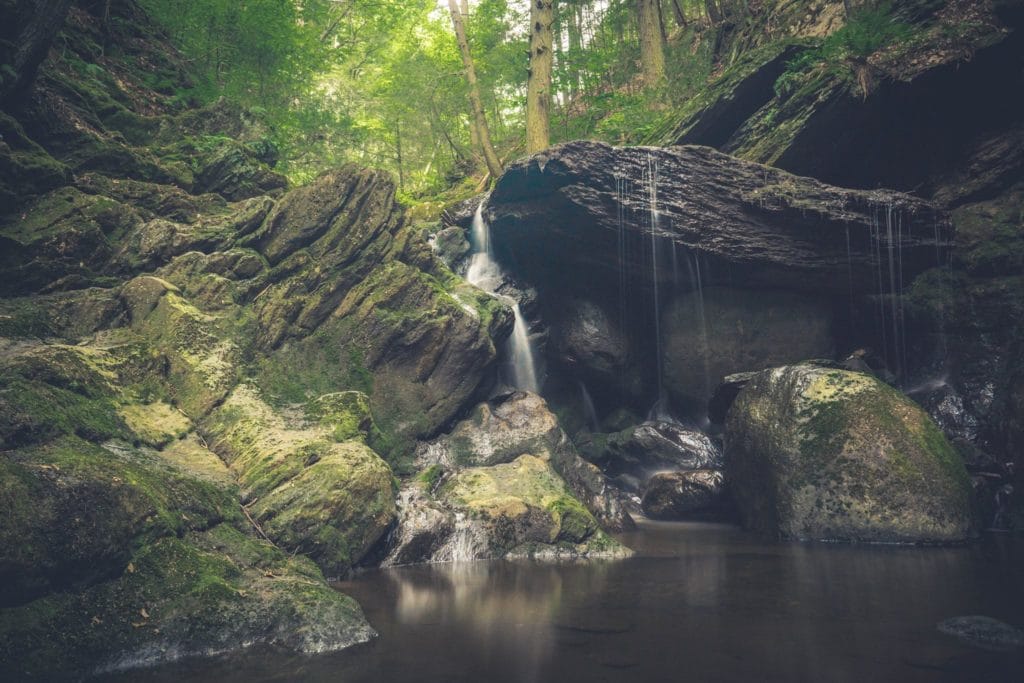 Naugatuck State Forest