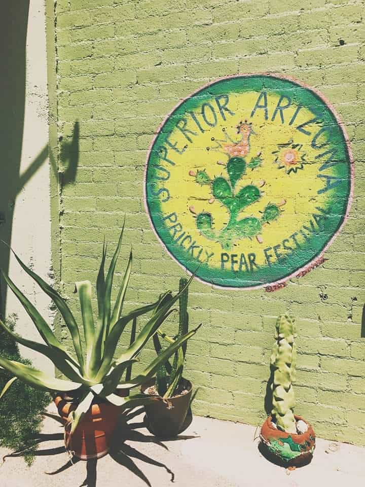 Prickly Pear Festival