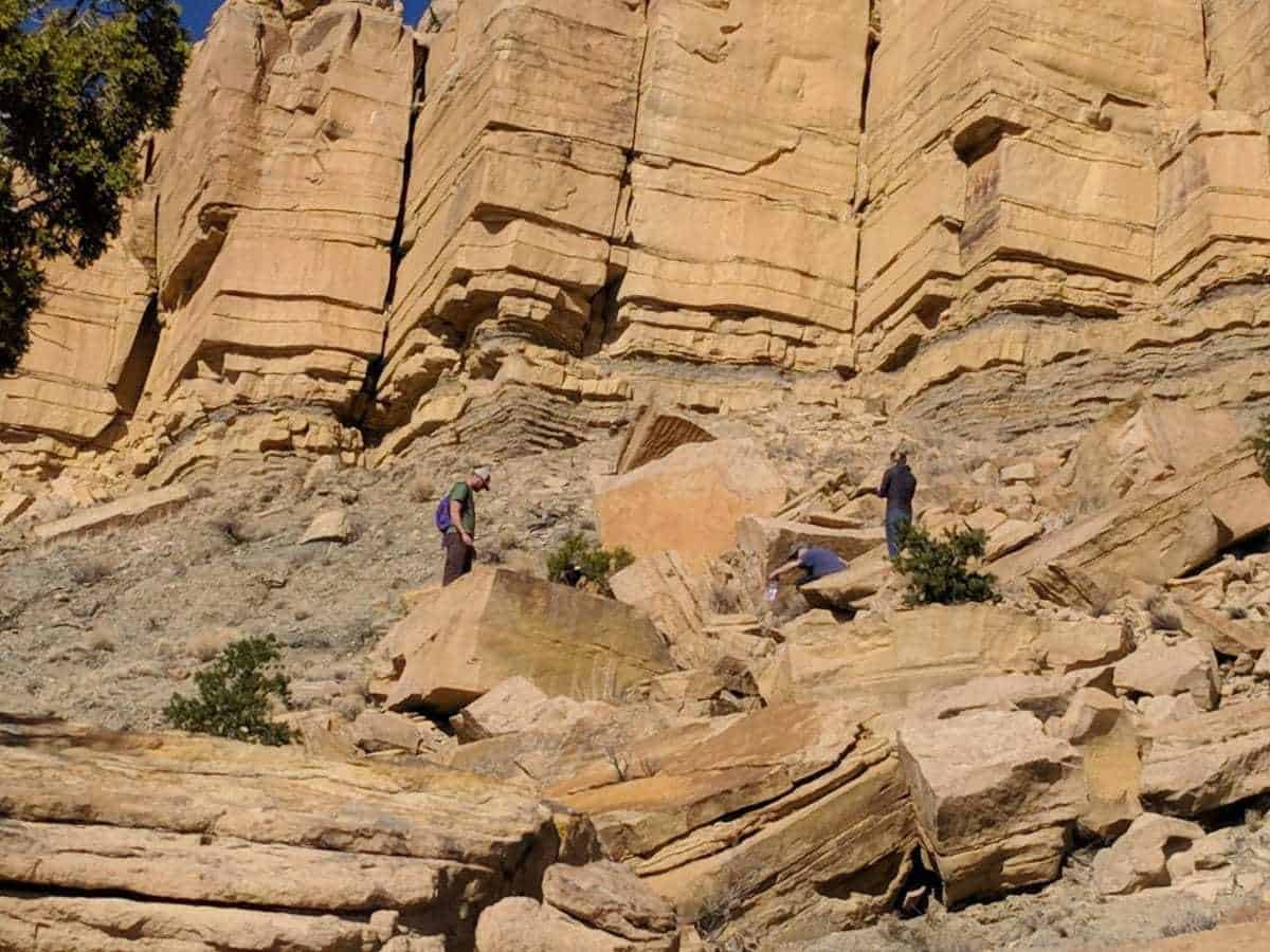 White Mountain Dinosaur Exploration Center