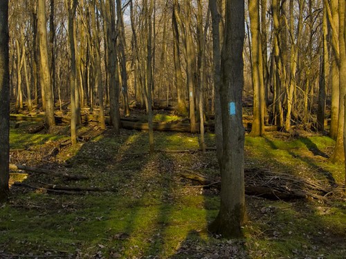 Quinnipiac Trail
