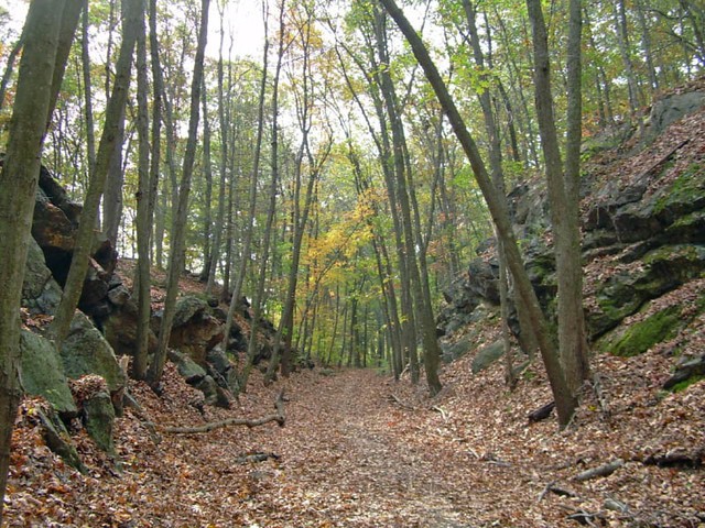 Whittemore Glen State Park