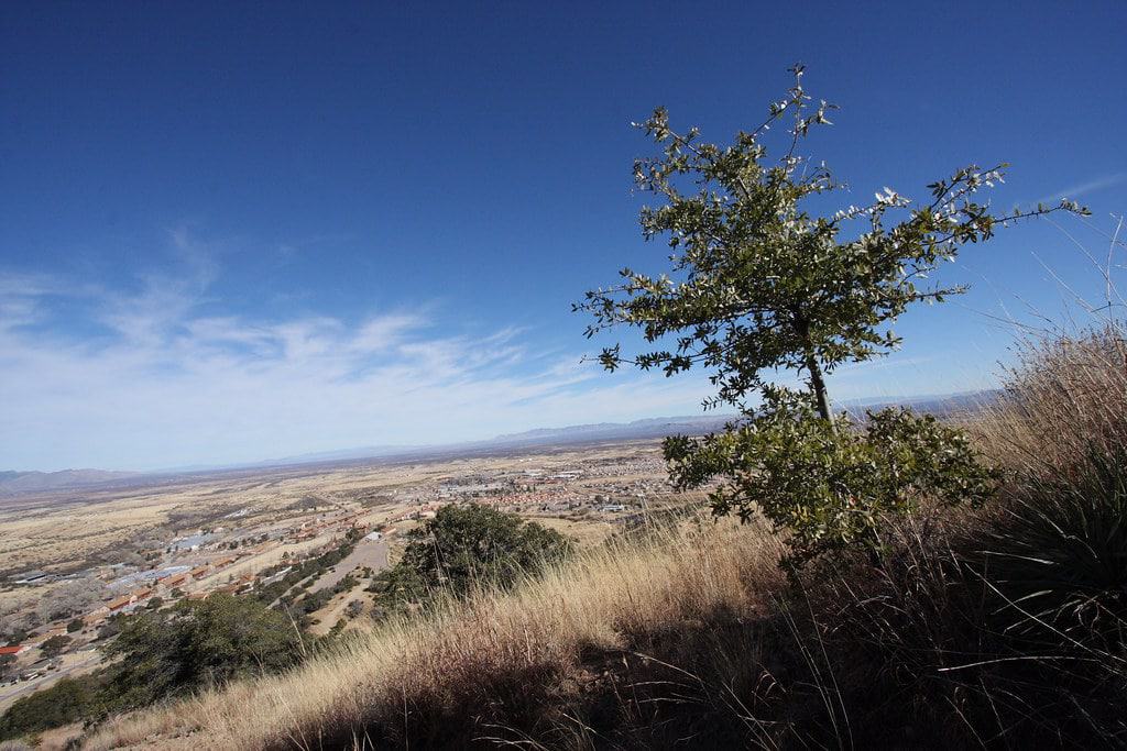 Reservoir Hill