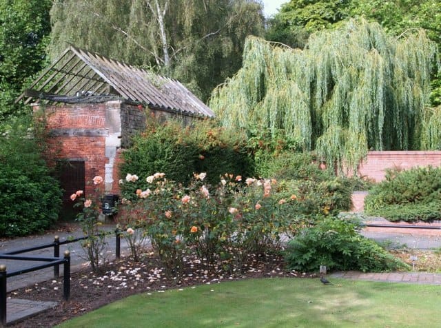 The Canch Park