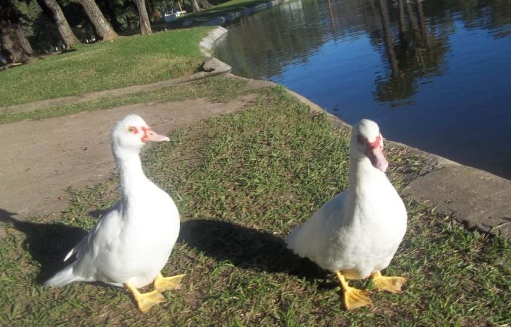 Parque Juan de Garay