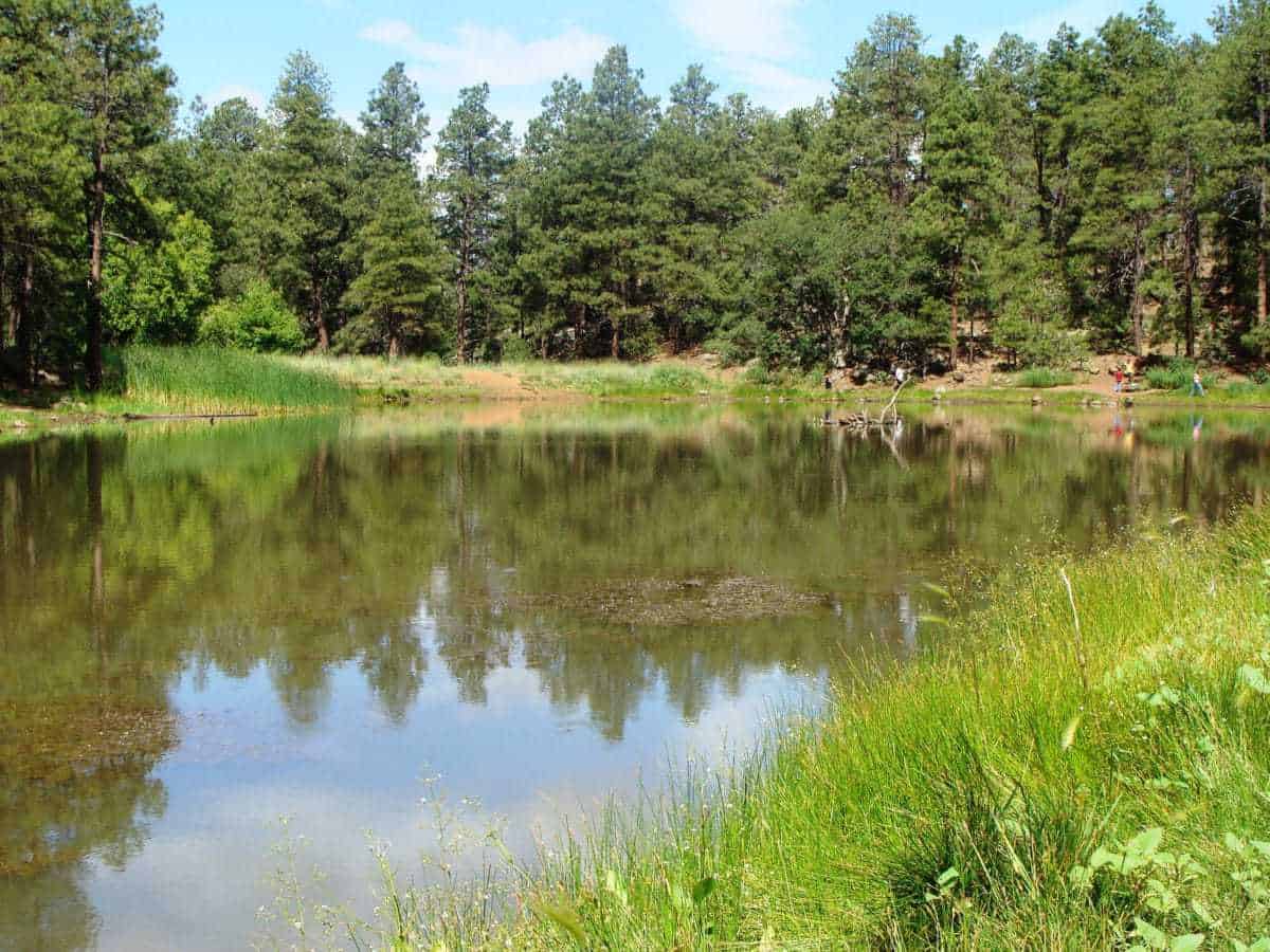 Mingus Lake