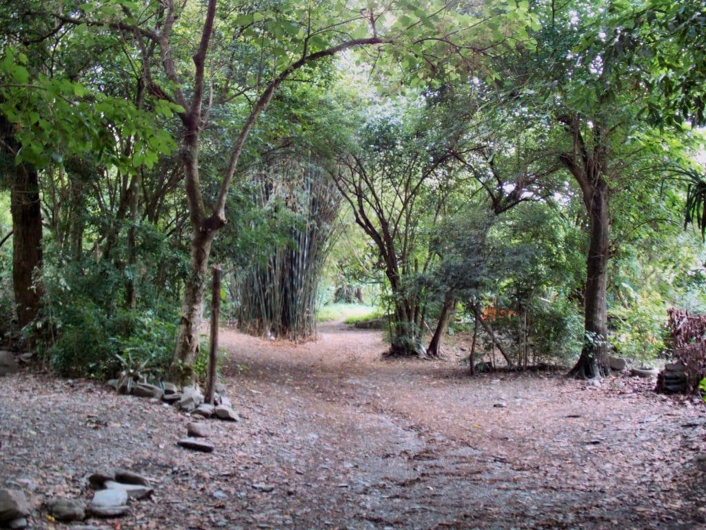 Parque Sierra de San Javier