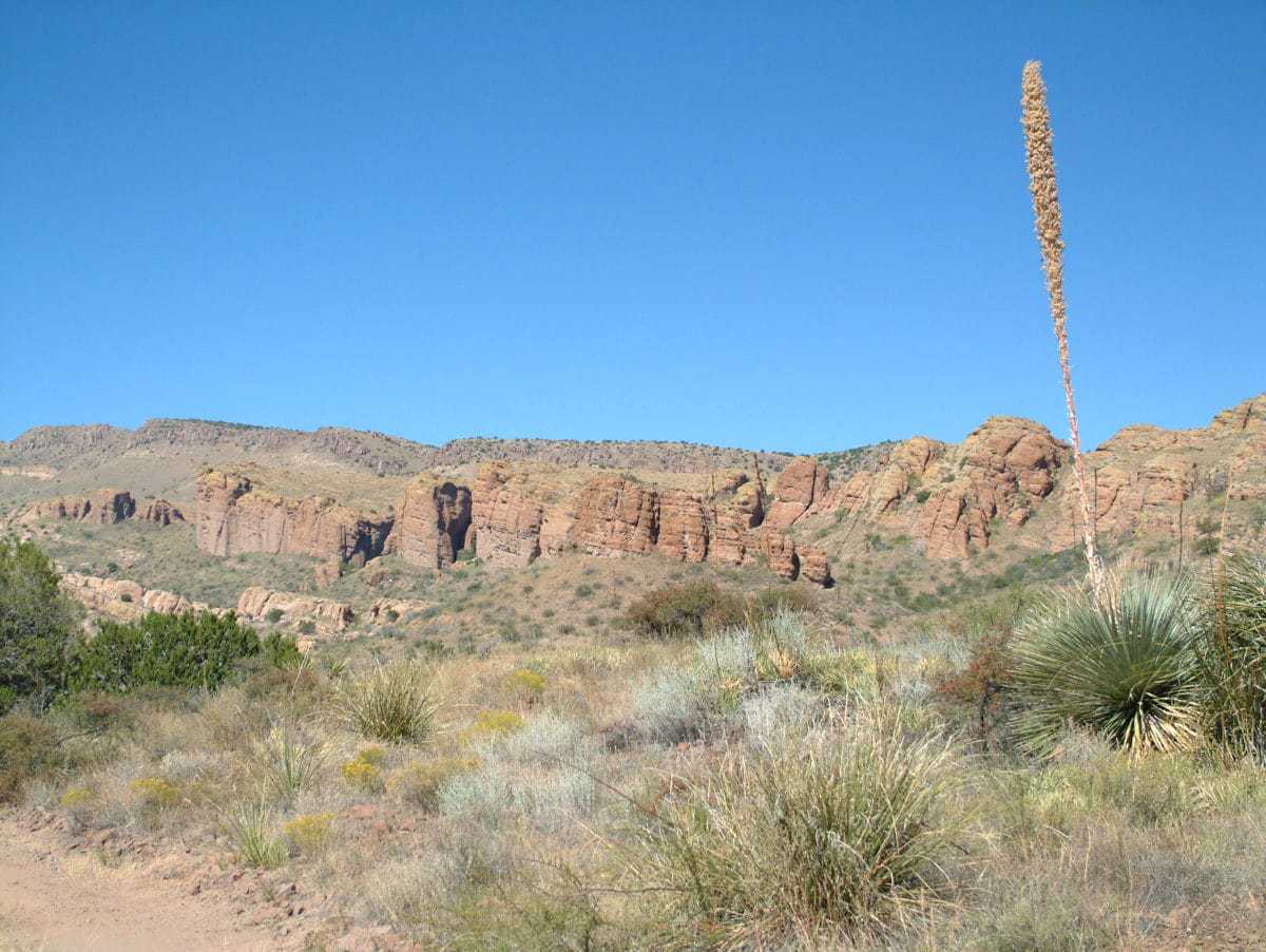Muleshoe Ranch Cooperative Management