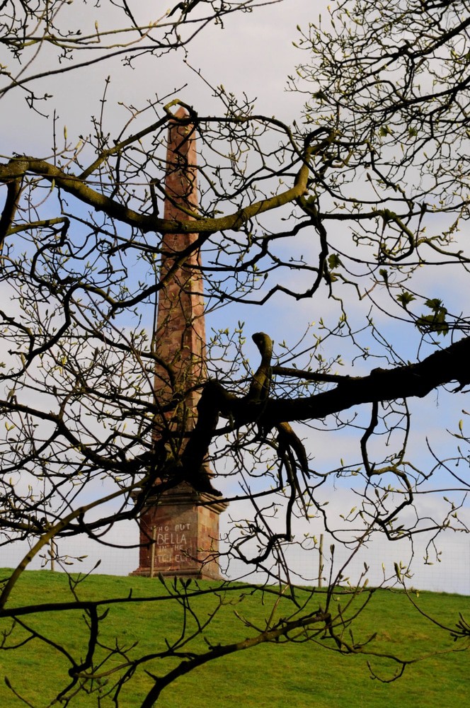 Wychbury Hill