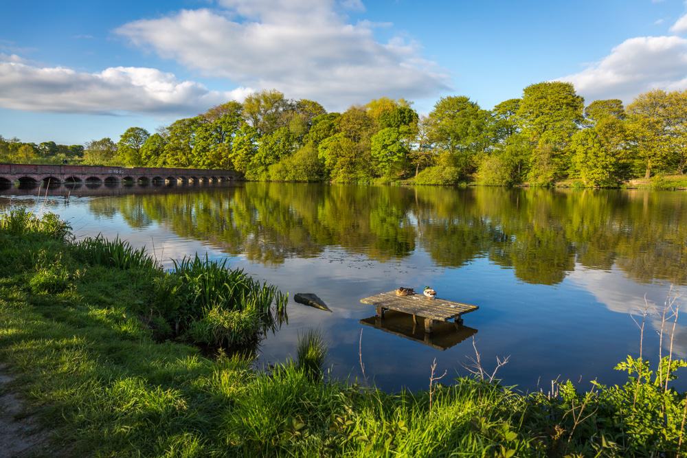  Carr Mill Dam