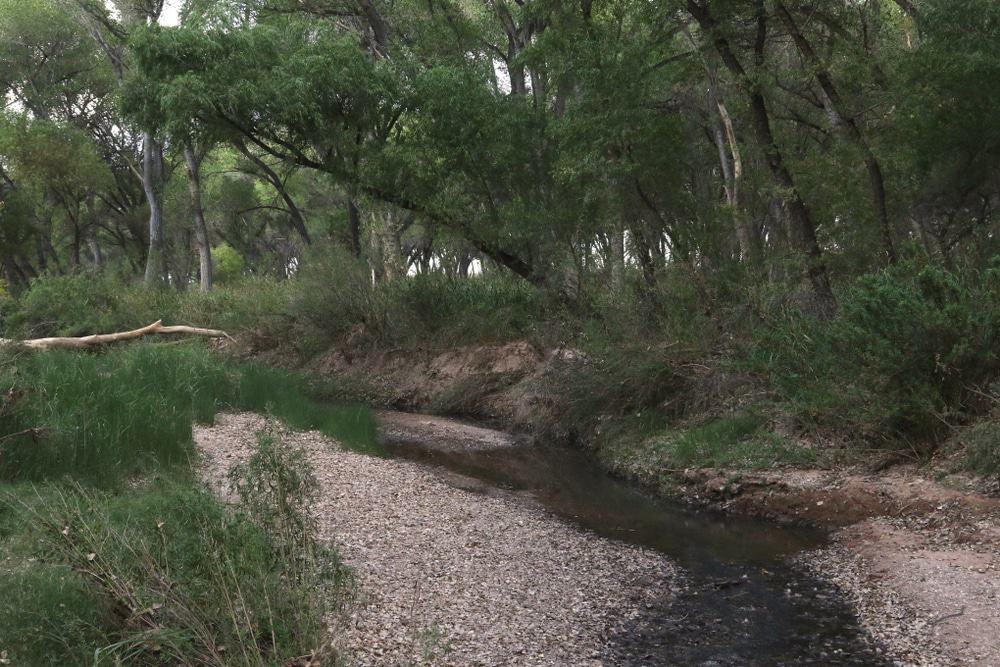San Pedro Riparian National Conservation Area