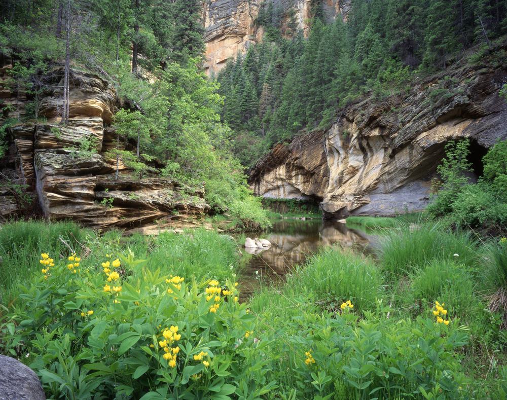 Camping at Clear Creek