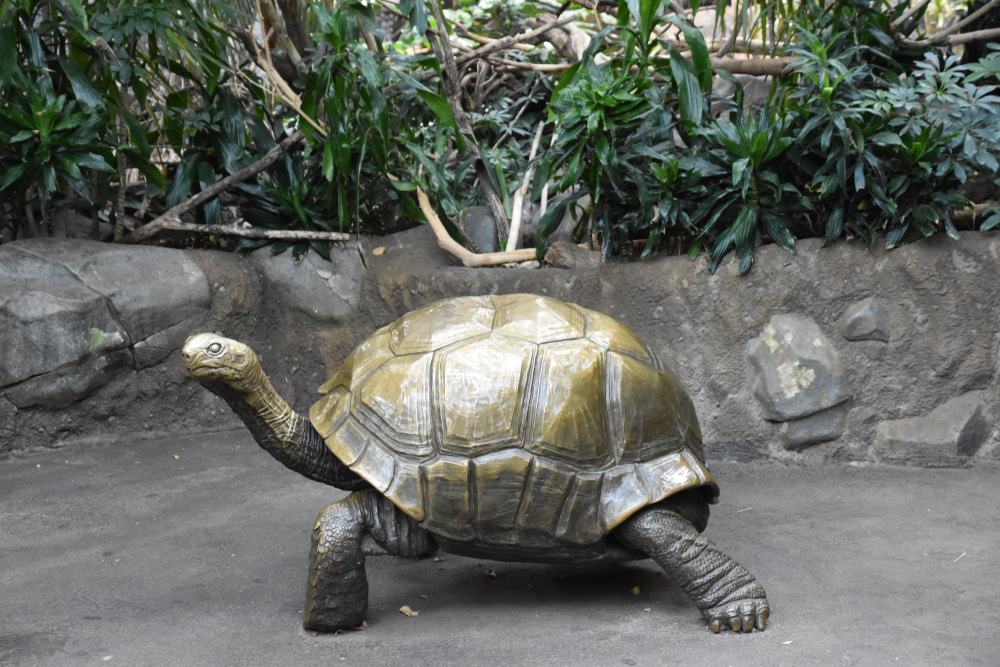 Minnesota Zoo