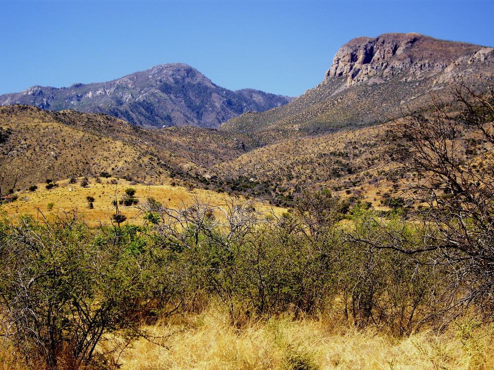 Coronado National Forest