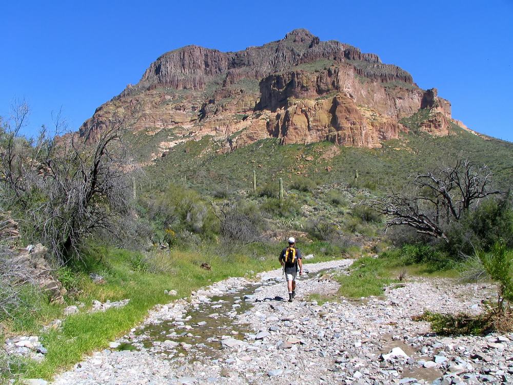 Picketpost Trail