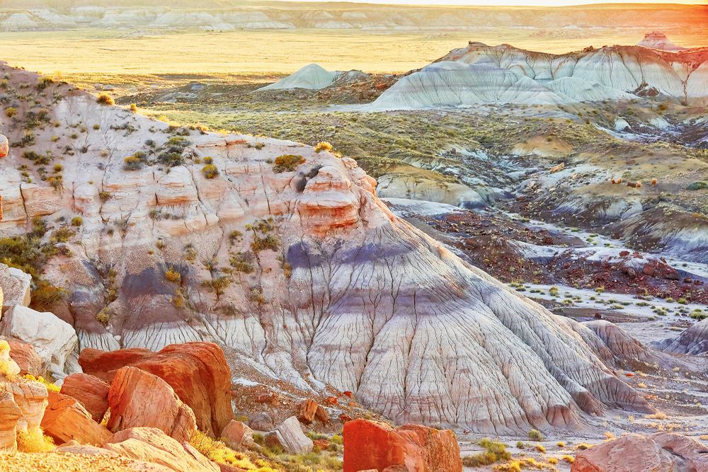 Painted Desert Arizona