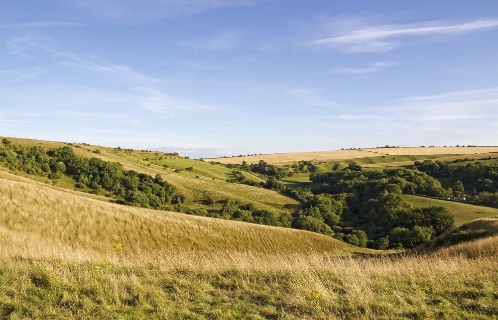  Salisbury Plain