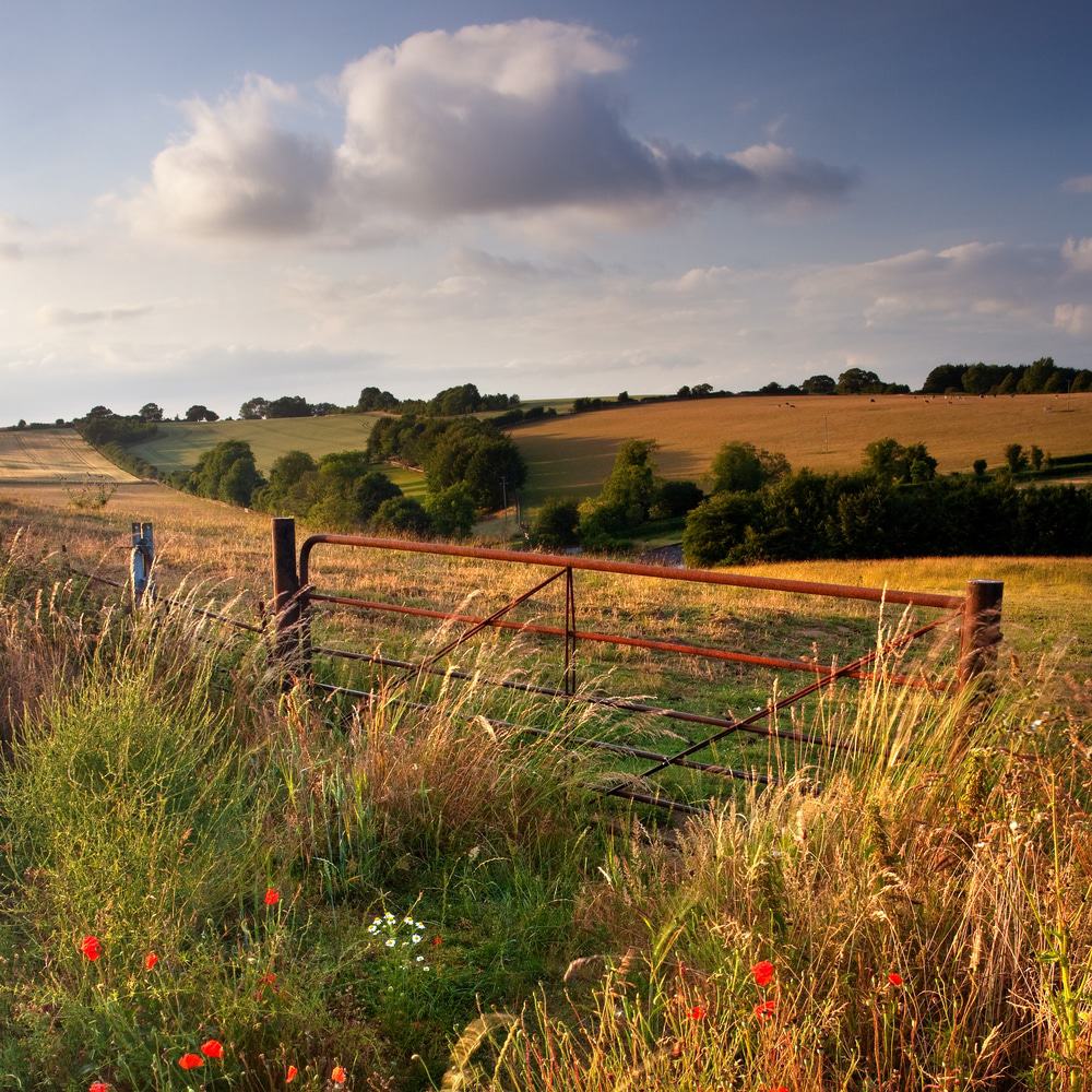 Cranborne Chase