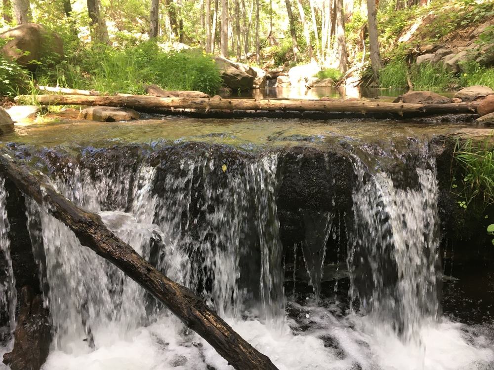 Horton Creek Trail