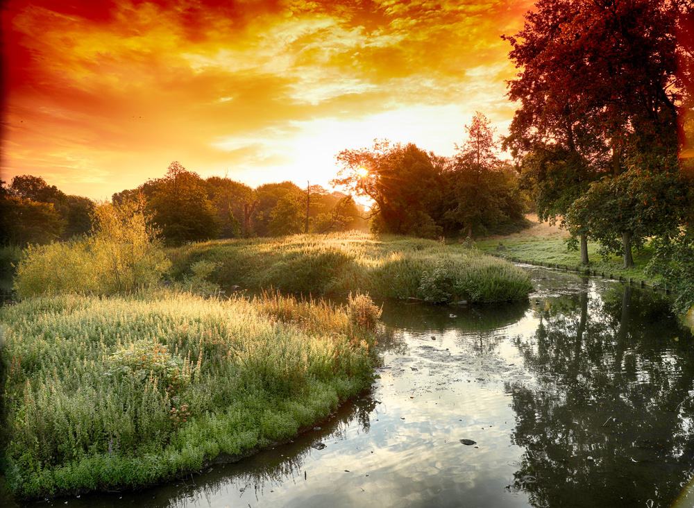 Beddington Park & The Grange