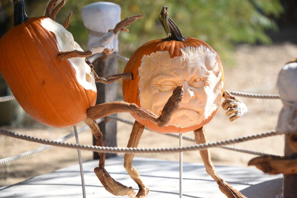 Carefree Pumpkin Festival