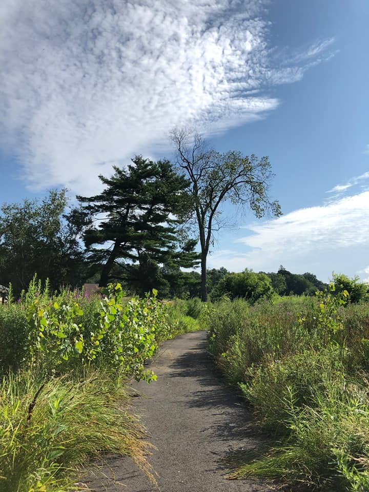 Batterson Park