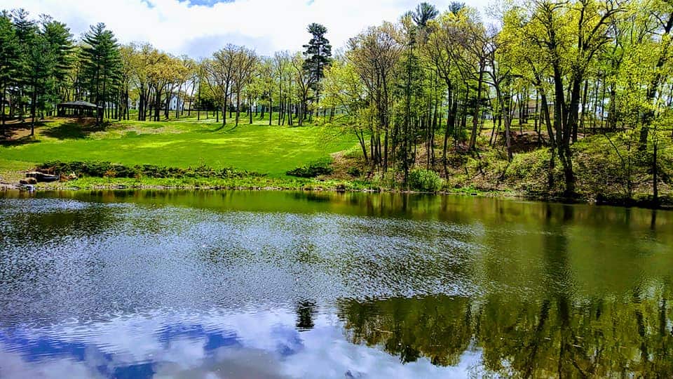 Center Springs Park