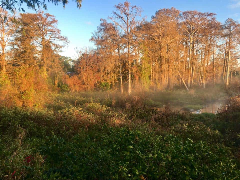 Howell Branch Nature Preserve