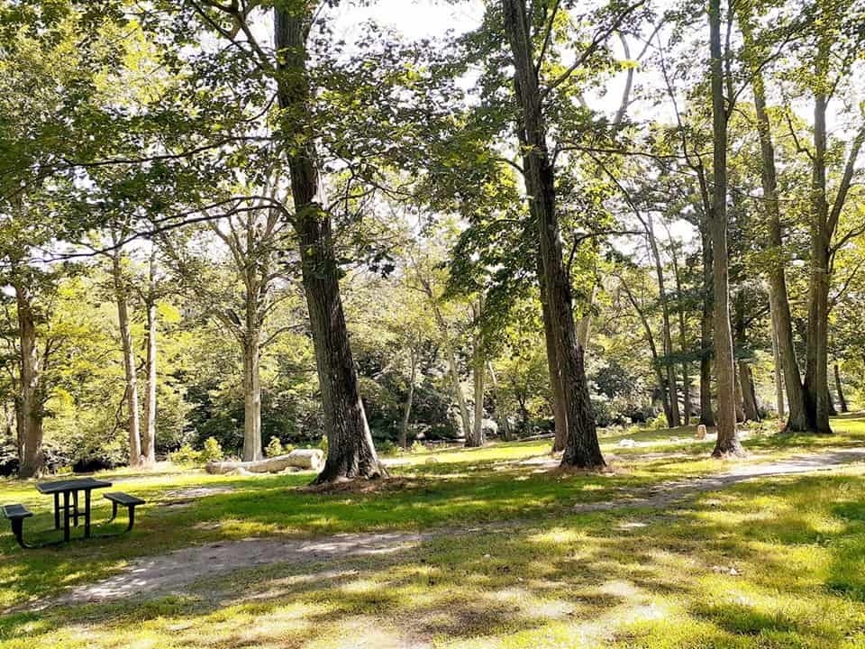 Philip Lauter Park