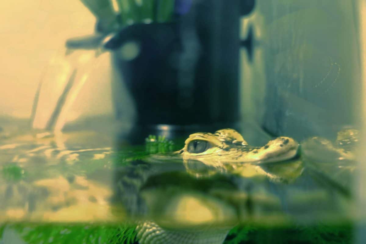 Sandoway Discovery Center