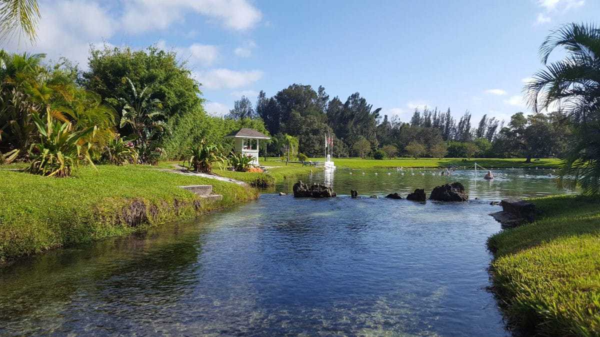 Warm Mineral Springs