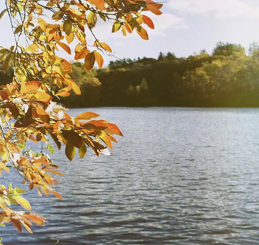 Collis P. Huntington State Park