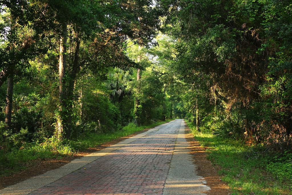 Tiger Bay State Forest