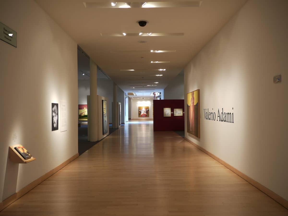 Boca Raton Museum of Art