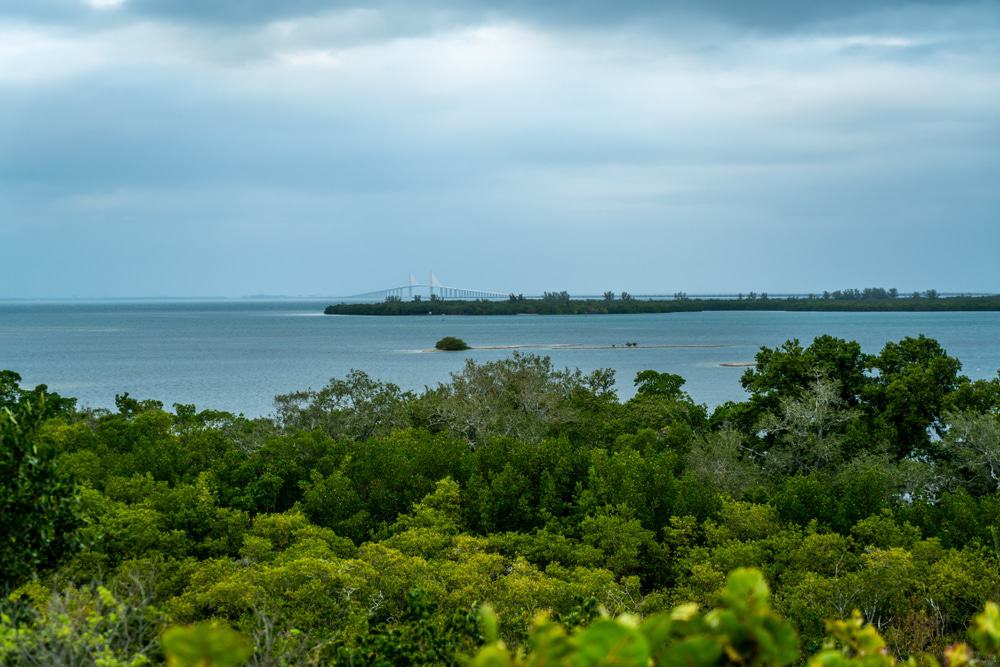 Emerson Point Preserve