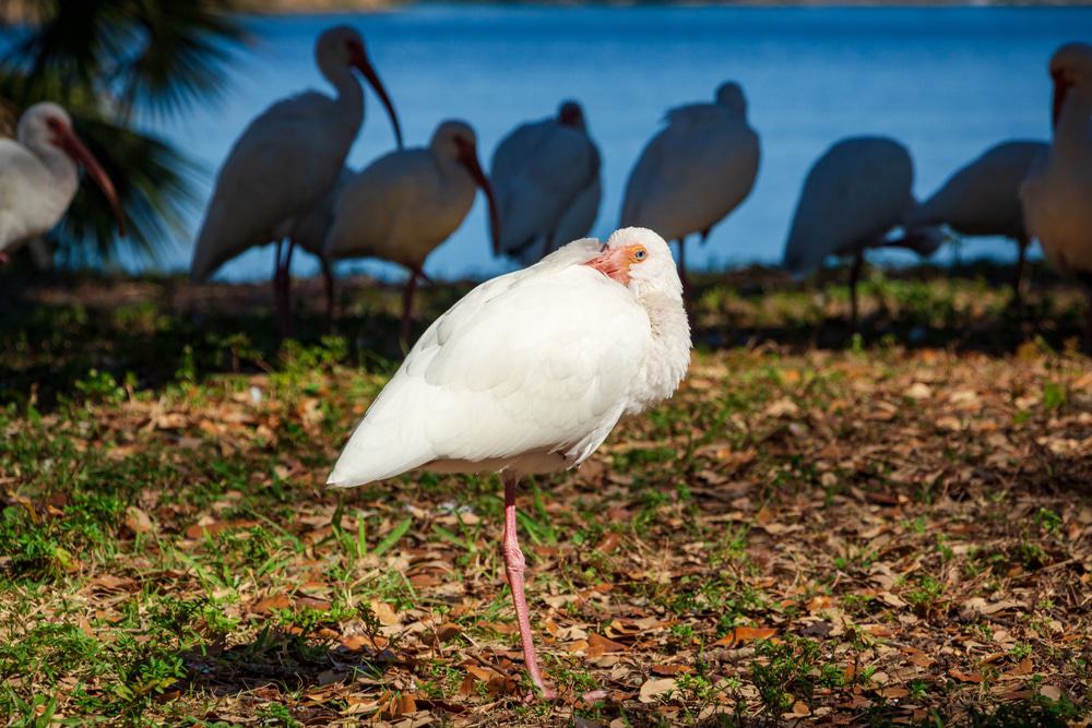 Topeekeegee Yugnee Park