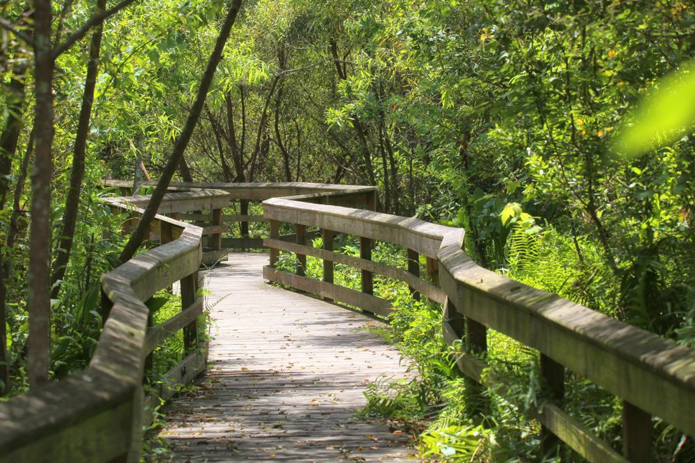 Mead Botanical Garden