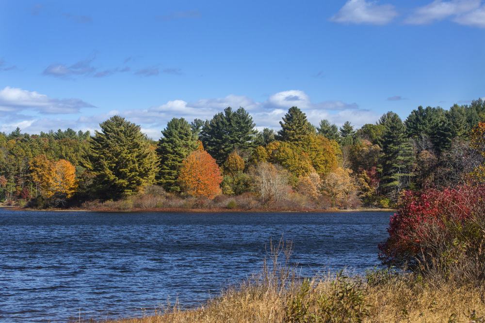 Mansfield Hollow Lake