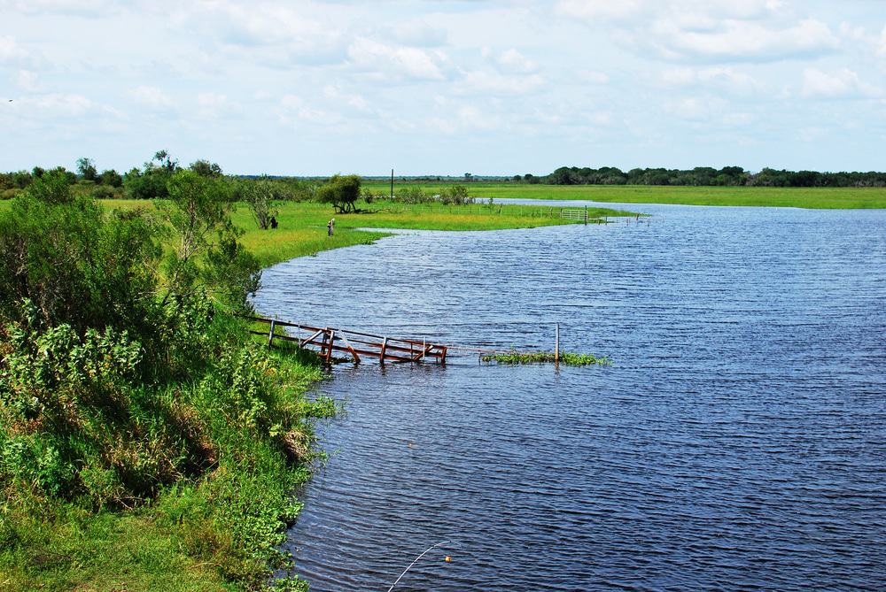 Myakka River State Park