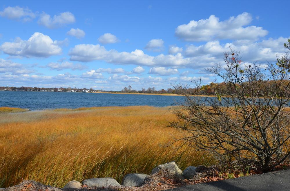 Greenwich Point Park