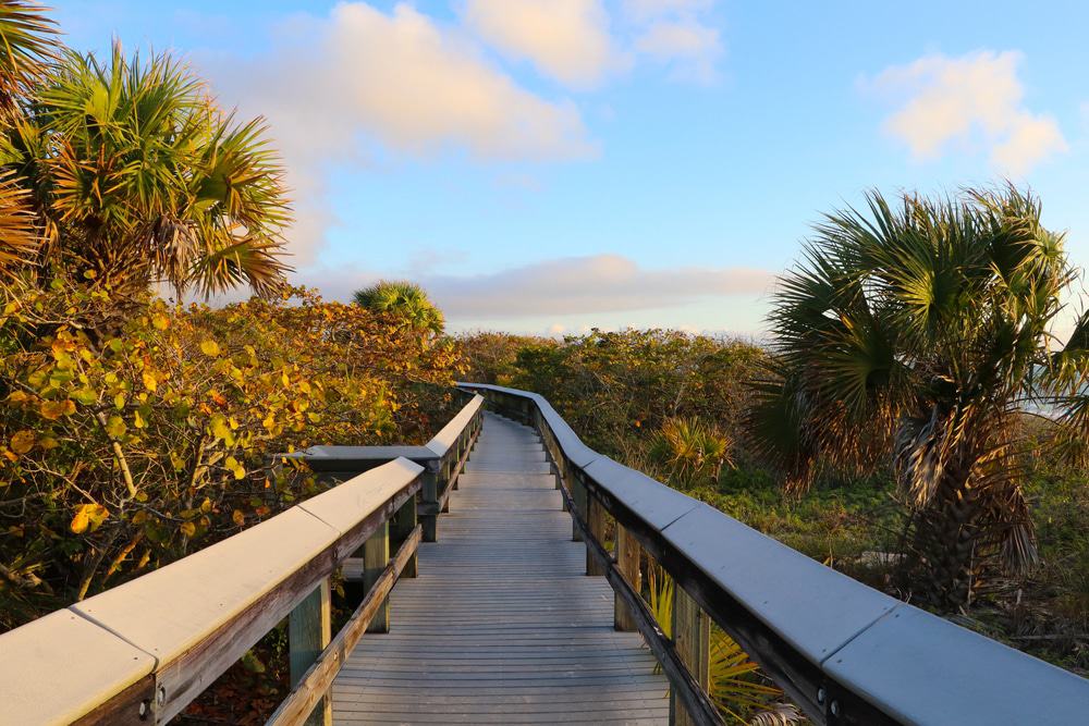 Barefoot Beach Preserve