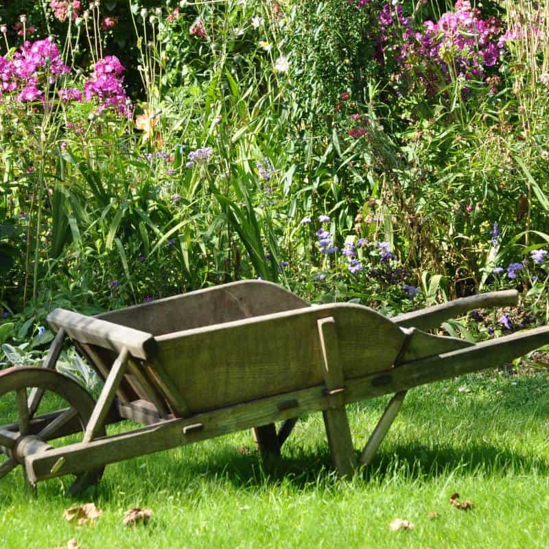 Bartlett Arboretum & Gardens