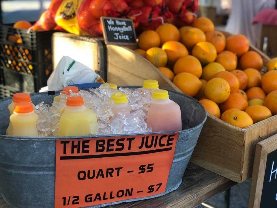 Farmers Market Oceanside