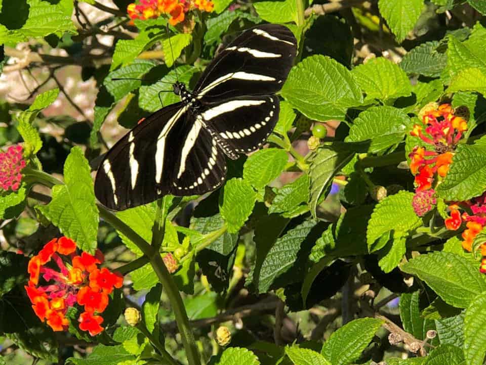 Folly Farms Nature Preserve