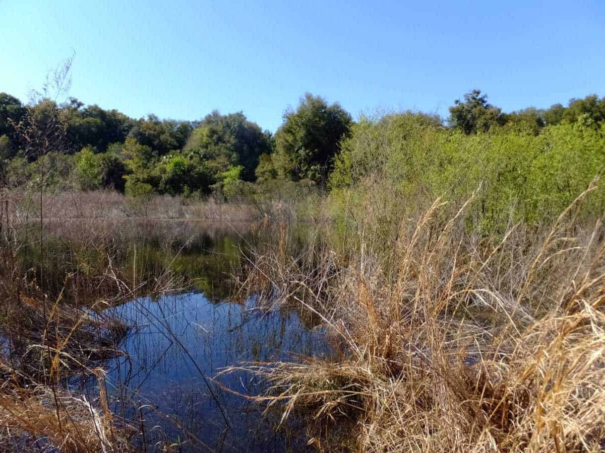 Hidden Waters Preserve Hiking Trail